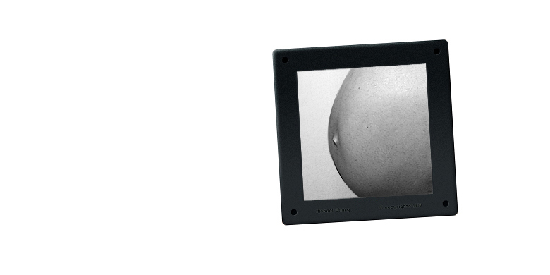 Illustration originally accompanying On Ageing, featuring a family photograph depicting the pregnant belly carrying the artist's youngest daughter, born in 2008